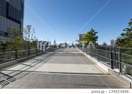 冬の青空と豊洲からの風景 冬の青空と豊洲からの風景 134853898