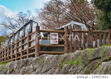 蹴上インクラインと桜（京都府京都市東山区） 134853922