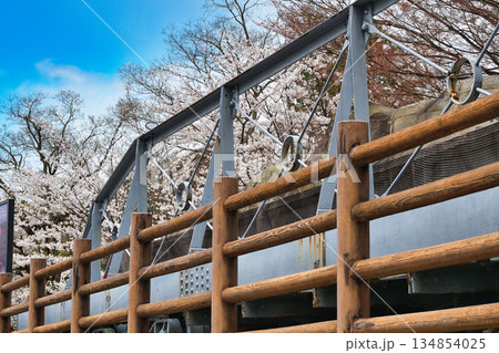 蹴上インクラインと桜（京都府京都市東山区） 134854025