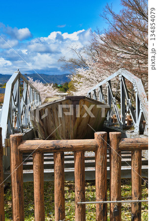 蹴上インクラインと桜(京都府京都市東山区) 蹴上インクラインと桜(京都府京都市東山区) 134854079