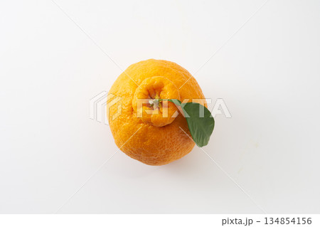 熊本デコポン（不知火）　イメージ 134854156