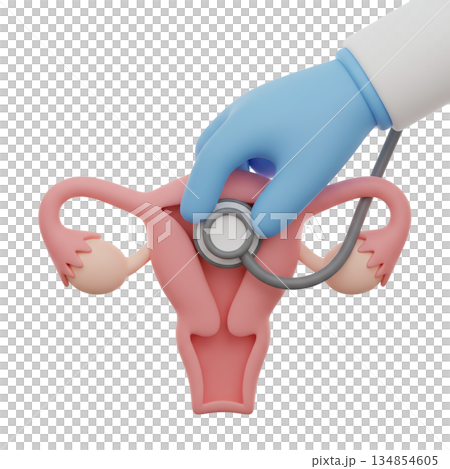 Conceptual 3d image of a doctor's gloved hand using a stethoscope on a model of a uterus, representing gynecology, women's health exams, and fertility Conceptual 3d image of a doctor's gloved hand using a stethoscope on a model of a uterus, representing gynecology, women's health exams, and fertility 134854605
