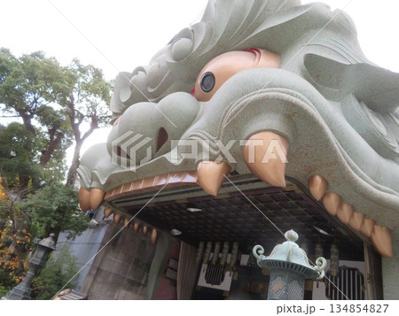 難波八坂神社 134854827