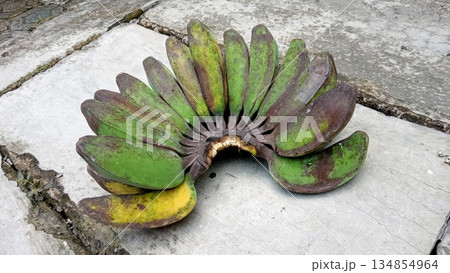 Bunch of Raw Green Bananas on Concrete Ground - Harvested Unripe Tropical Fruit Bunch of Raw Green Bananas on Concrete Ground - Harvested Unripe Tropical Fruit 134854964