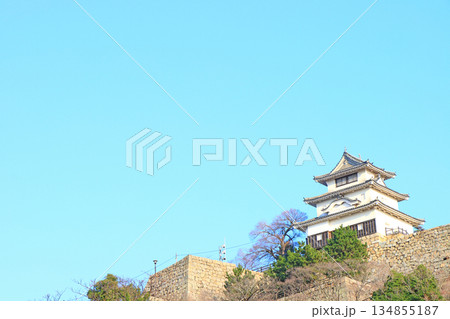 香川県丸亀市、丸亀城の風景 香川県丸亀市、丸亀城の風景 134855187