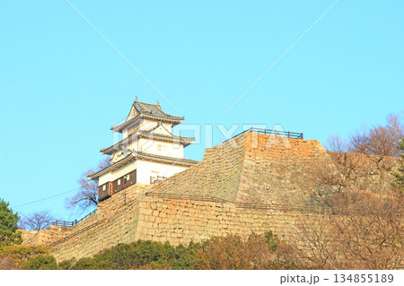 香川県丸亀市、丸亀城の風景 香川県丸亀市、丸亀城の風景 134855189