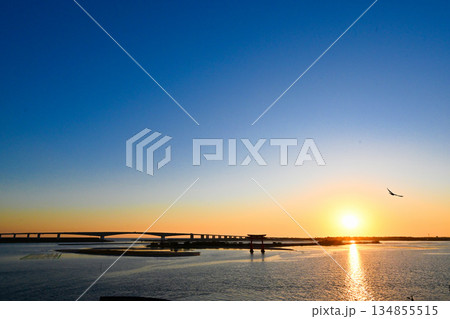 浜名湖(弁天島・鳥居)② 浜名湖(弁天島・鳥居)② 134855515