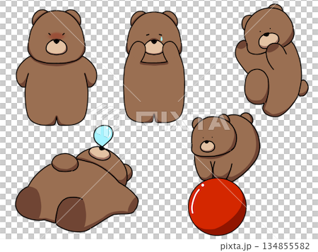 可愛い熊のイラスト5セット 134855582