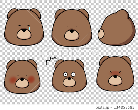 いろいろな表情のクマのセット 134855583