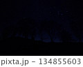 しらびそ高原の星空⑤ 134855603