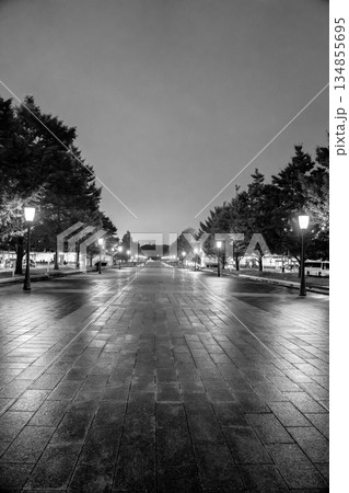 夜景の東京駅丸の内駅前広場(外灯のあかり)新聞広告用 夜景の東京駅丸の内駅前広場(外灯のあかり)新聞広告用 134855695