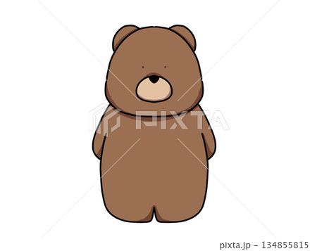 正面を向いたクマのイラスト 134855815