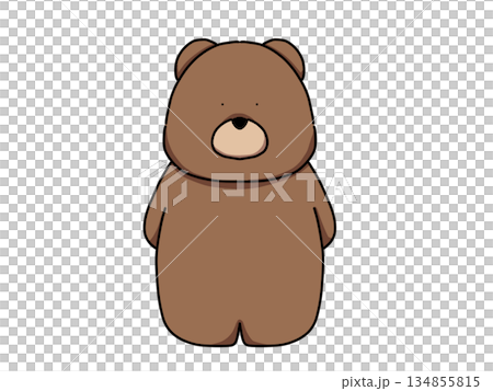 正面を向いたクマのイラスト 134855815