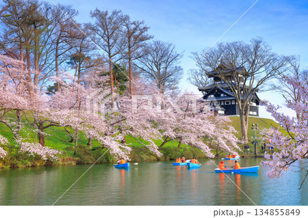【新潟県】晴天の高田城と満開の桜 【新潟県】晴天の高田城と満開の桜 134855849