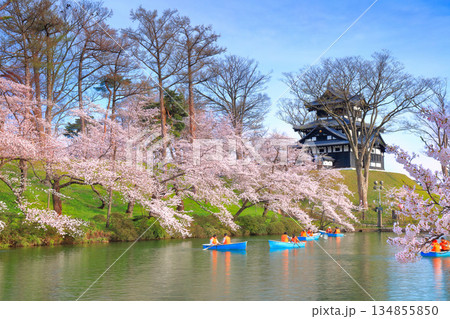 【新潟県】晴天の高田城と満開の桜 【新潟県】晴天の高田城と満開の桜 134855850