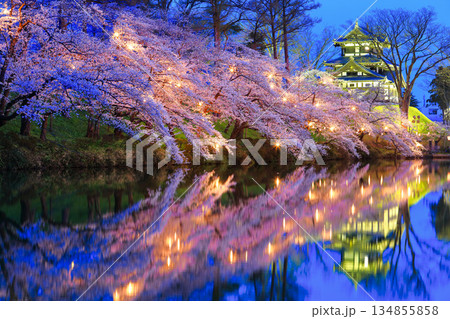 【新潟県】シンメトリーな高田城の満開の夜桜（高田城址公園観桜会） 134855858