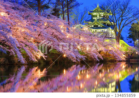 【新潟県】シンメトリーな高田城の満開の夜桜（高田城址公園観桜会） 134855859