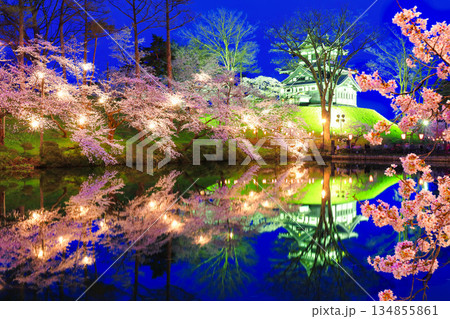 【新潟県】シンメトリーな高田城の満開の夜桜(高田城址公園観桜会) 【新潟県】シンメトリーな高田城の満開の夜桜(高田城址公園観桜会) 134855861