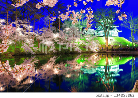 【新潟県】シンメトリーな高田城の満開の夜桜（高田城址公園観桜会） 134855862