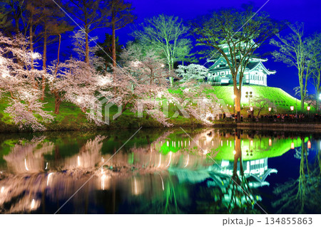 【新潟県】シンメトリーな高田城の満開の夜桜（高田城址公園観桜会） 134855863