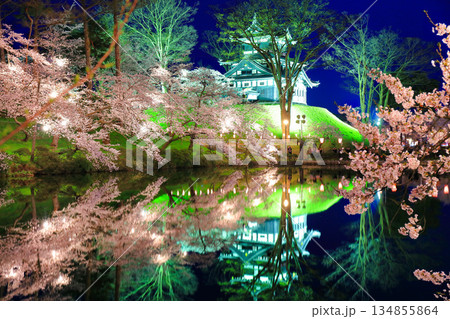 【新潟県】シンメトリーな高田城の満開の夜桜（高田城址公園観桜会） 134855864