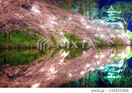 【新潟県】シンメトリーな高田城の満開の夜桜（高田城址公園観桜会） 134855866