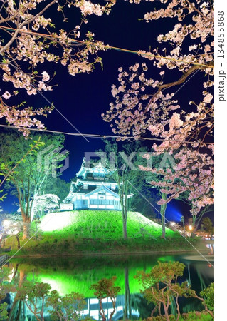 【新潟県】シンメトリーな高田城の満開の夜桜(高田城址公園観桜会) 【新潟県】シンメトリーな高田城の満開の夜桜(高田城址公園観桜会) 134855868