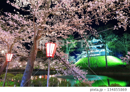 【新潟県】高田城の満開の夜桜（高田城址公園観桜会） 134855869