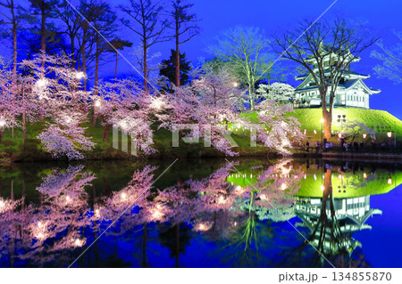 【新潟県】シンメトリーな高田城の満開の夜桜（高田城址公園観桜会） 134855870