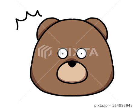驚いているクマの顔 134855945