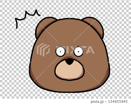 Surprised bear face Surprised bear face 134855945