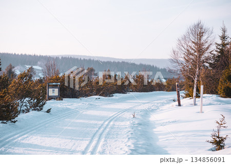 Cross-country skiing tracks wind through Jizerka Village, surrounded by snow-covered landscapes and sunny skies. This leisure activity is perfect for winter sports enthusiasts. 134856091