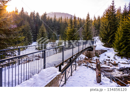 Karlov Bridge connects Czechia and Poland, offering stunning views of snow-covered trees and the gentle flow of the Jizera River. The serene winter light enhances the tranquil scene. Karlov Bridge connects Czechia and Poland, offering stunning views of snow-covered trees and the gentle flow of the Jizera River. The serene winter light enhances the tranquil scene. 134856120