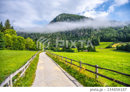 A winding road leads through green fields and trees in the Alps. Mountains rise in the background as clouds hang low, creating a beautiful natural scene in daylight. 134856187