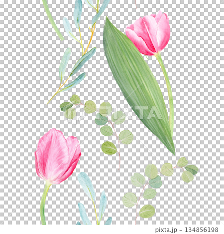 Pink tulips with eucalyptus leaves watercolor seamless border on beige. Perfect for wedding, spring floral arrangements, cards, textile patterns, natural decor, botanical room design. Vertical 134856198