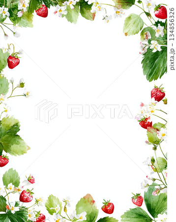 水彩画風のイチゴと白い花のボタニカルフレーム素材 水彩画風のイチゴと白い花のボタニカルフレーム素材 134856326