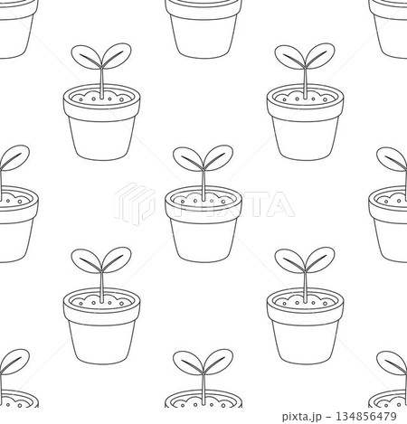 seamless outline pattern of seedling in pot 134856479