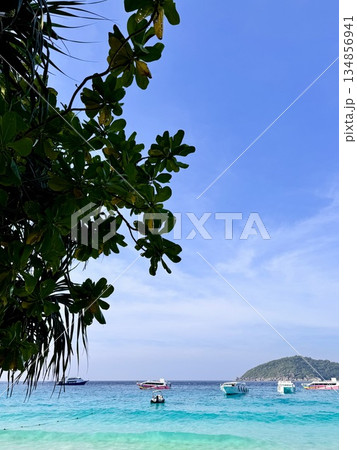 Thailand's Similan Islands, known for their snow-white beaches, crystal clear waters, coral reefs, and rich underwater world 134856941