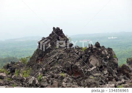 火山活動が生み出した溶岩地形と広がる森林の風景 火山活動が生み出した溶岩地形と広がる森林の風景 134856965