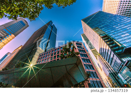 日本の東京都市景観珍景。奇跡の反射光…年末の大手町。冬晴れ…光と影、明暗分けるビジネス界、赤信号も… 134857319