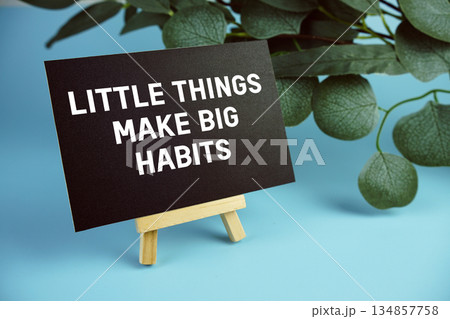 Little Things Make Big Habits Motivational And Inspirational Quotes Little Things Make Big Habits Motivational And Inspirational Quotes 134857758