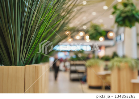 Potted green plants decorating modern interior space with blurred people and lights in the background 134858265