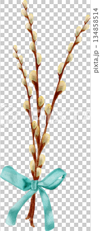 Watercolor spring tree branch with buds, willow, Easter branch 134858514