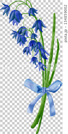 Watercolor flowers, primroses, spring, hand-drawn bluebells 134859002