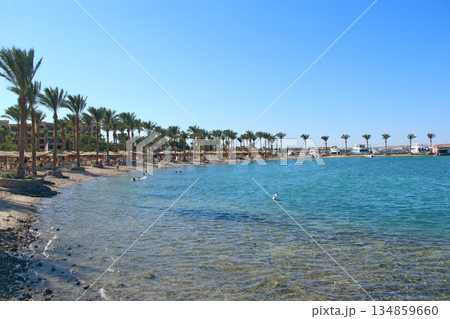 Tropical resort in Egypt. Palm trees sea sand beach. People rest on beach 134859660