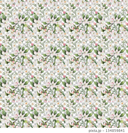 delicate seamless watercolor pattern of white-pink apple blossoms, green twigs, and pink butterflies creates a romantic botanical wallpaper 134859841