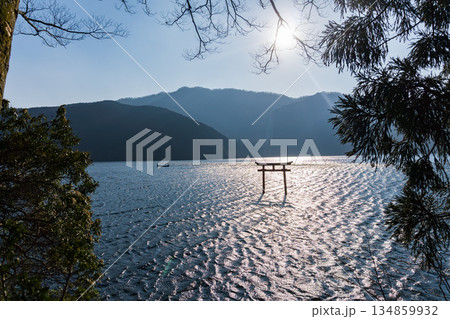 箱根の九頭龍神社の鳥居 134859932