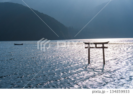 箱根の九頭龍神社の鳥居 箱根の九頭龍神社の鳥居 134859933