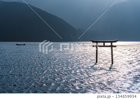 箱根の九頭龍神社の鳥居 134859934