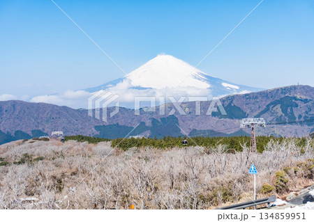 箱根の大涌谷から見える富士山 箱根の大涌谷から見える富士山 134859951